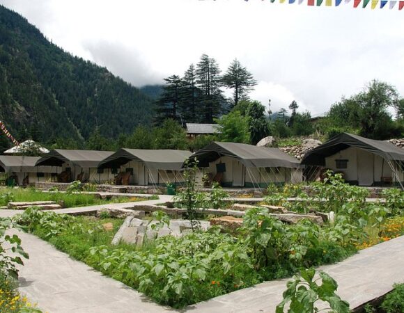 Kinner Camp Sangla — Complete Travel Guide