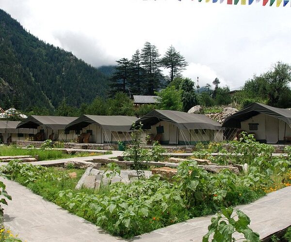 Kinner Camp Sangla — Complete Travel Guide